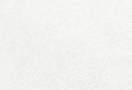 Фантазия белая